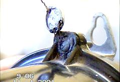 Фальсификация мастичной Госпломбы